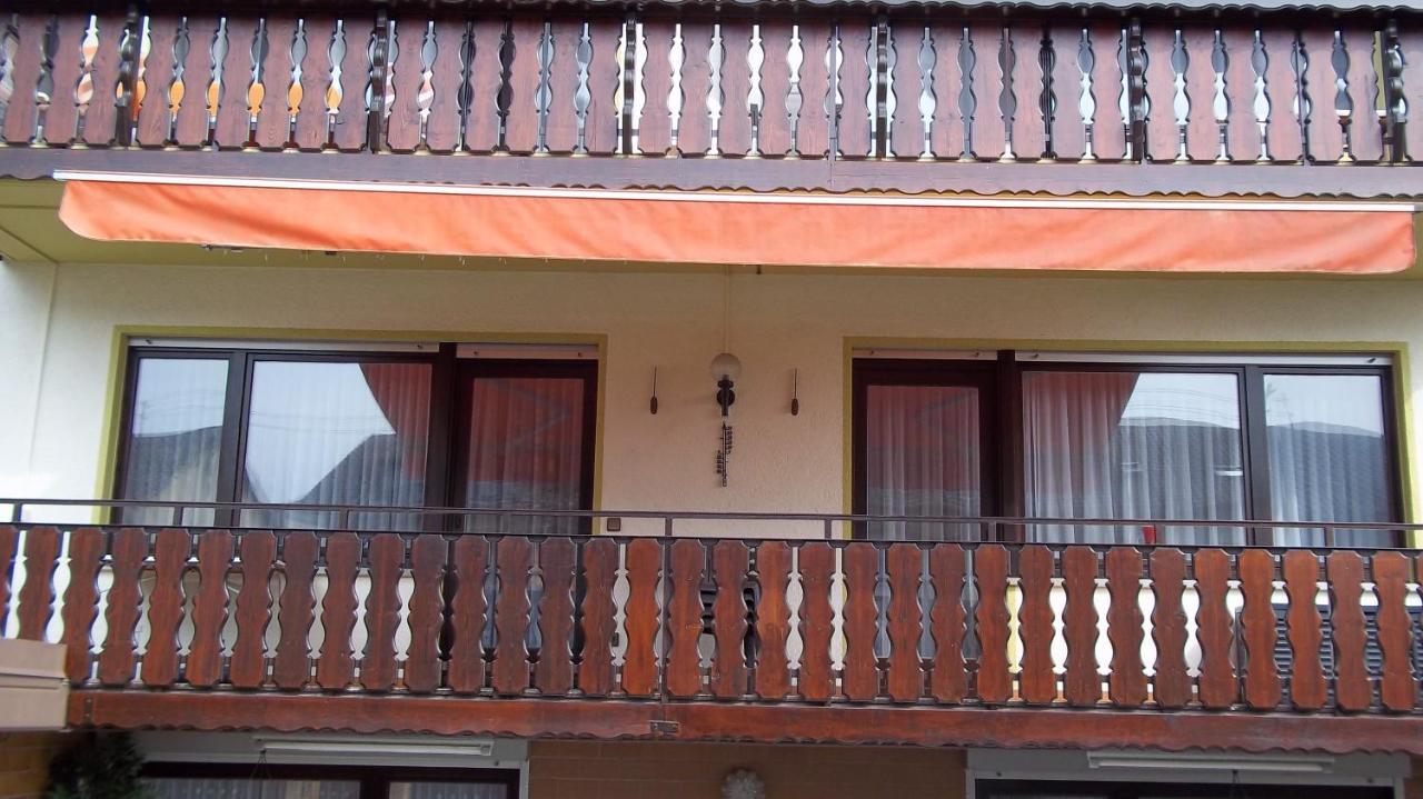 Ferienwohnung Keine Monteurvermietung Naehe Heidelberg Hockenheim Bds Anlage Филипсбург Экстерьер фото